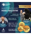 MASTERCLASS Poodle Tıraş Eğitimi - Lienke Luthart x Erkin Yiğit